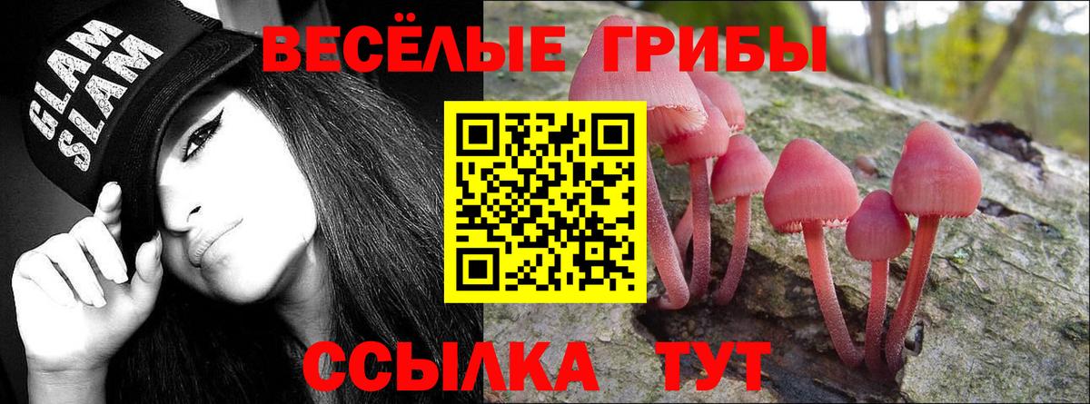 Галлюциногенные грибы Psilocybine cubensis  Вход с VPN  Псилоцибиновые грибы мухоморы  Мичуринск 